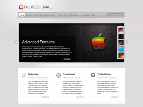 TheProfessionalWordpressTheme