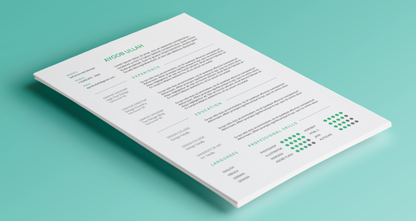 Free Resume Template