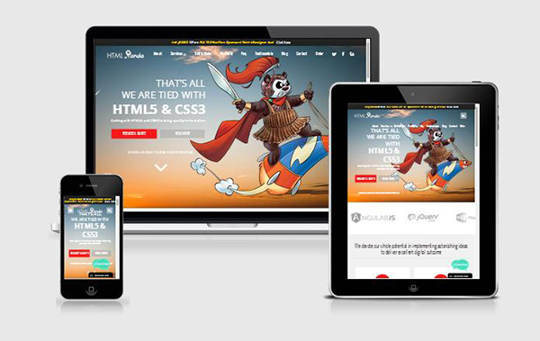 responsive-website12