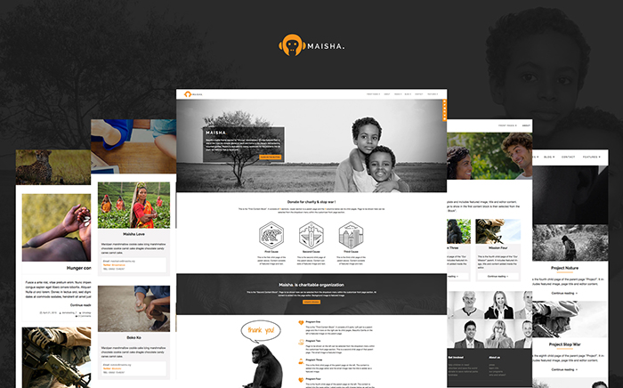  Charity/Non-Profit WordPress Theme